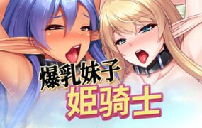 公主骑士：爆乳妹子姫骑士（V1.23）